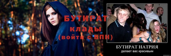 стаф Бородино