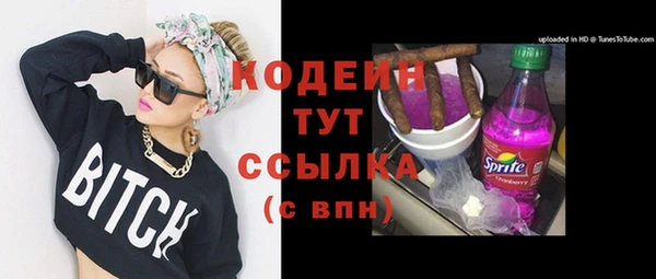 стаф Бородино