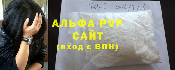 стаф Бородино