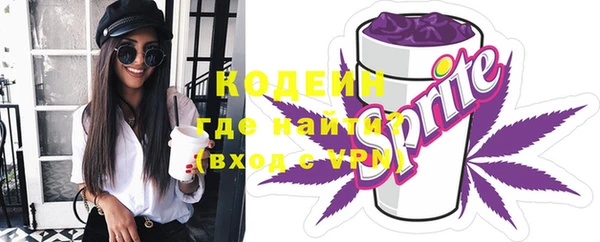 стаф Бородино