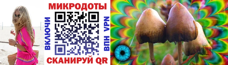 Галлюциногенные грибы GOLDEN TEACHER  Мещовск 