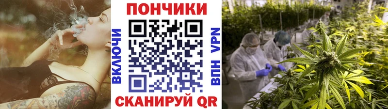 Бошки Шишки AK-47  Мещовск 